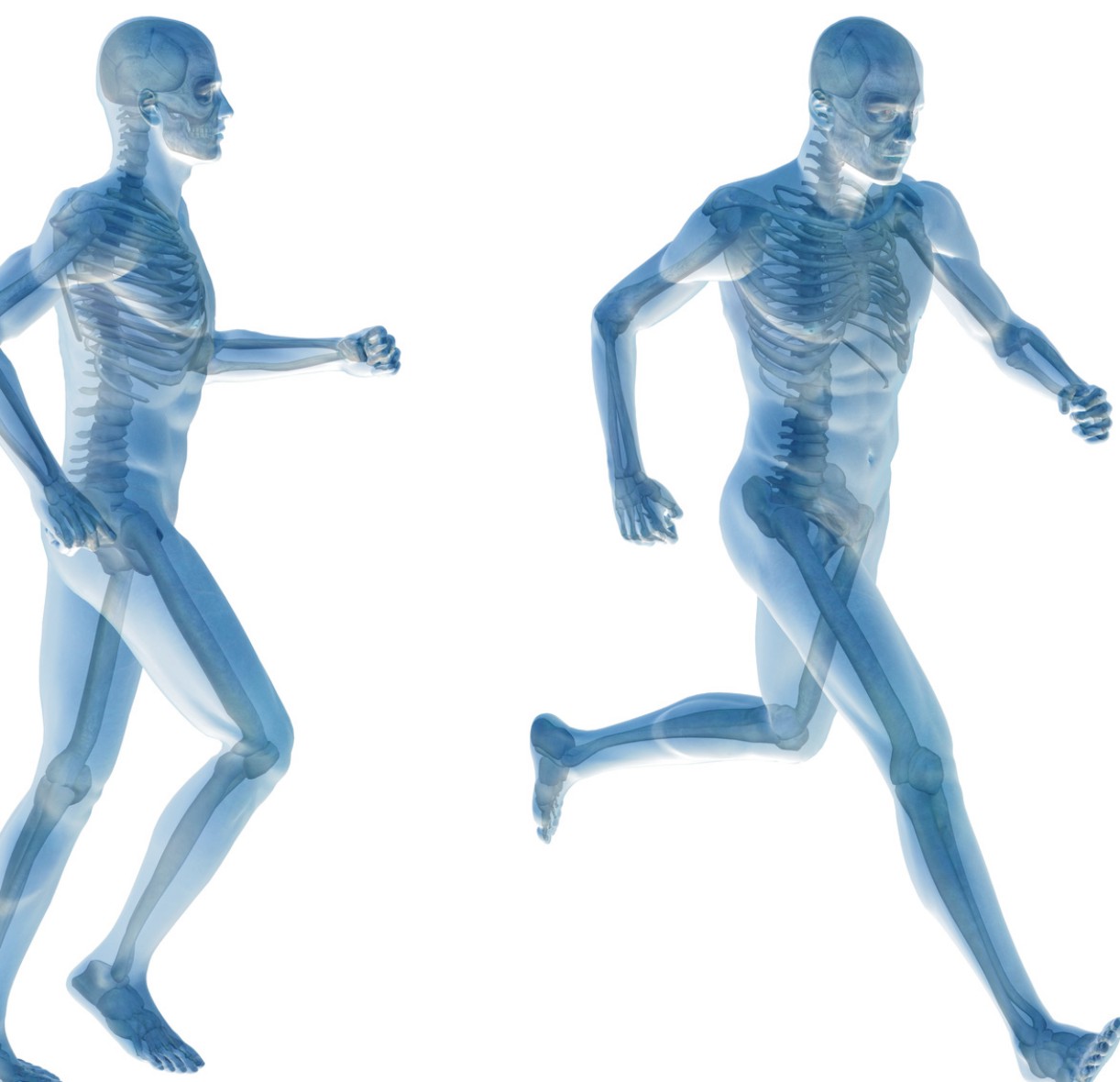 Manuelle Therapie  riefit  Der Gesundheitspartner
